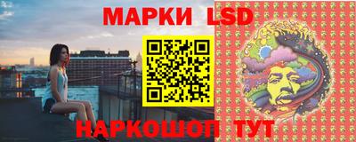 амф Камышлов