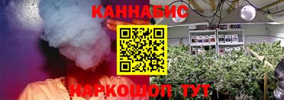 амф Камышлов