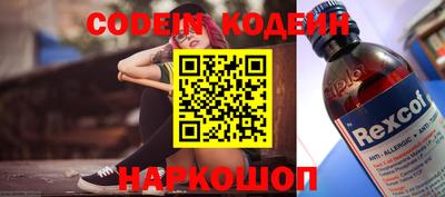 амф Камышлов