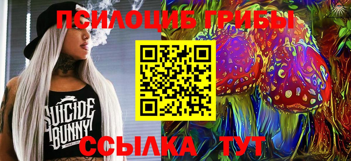 Лабинск  Псилоцибиновые грибы MAGIC MUSHROOMS  Вход с VPN 
